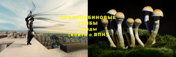spice Абинск