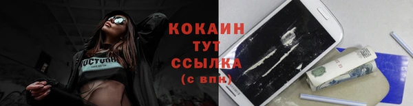 прущие грибы Абаза