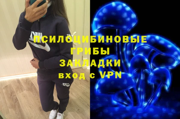 прущие грибы Абаза