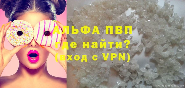 прущие грибы Абаза
