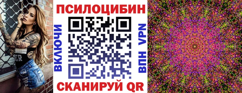 Купить Липецк Галлюциногенные грибы Cubensis